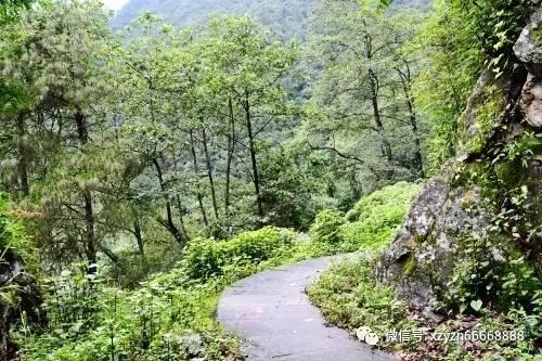 全国首个！厦门发布“单一窗口”数据服务地方标准