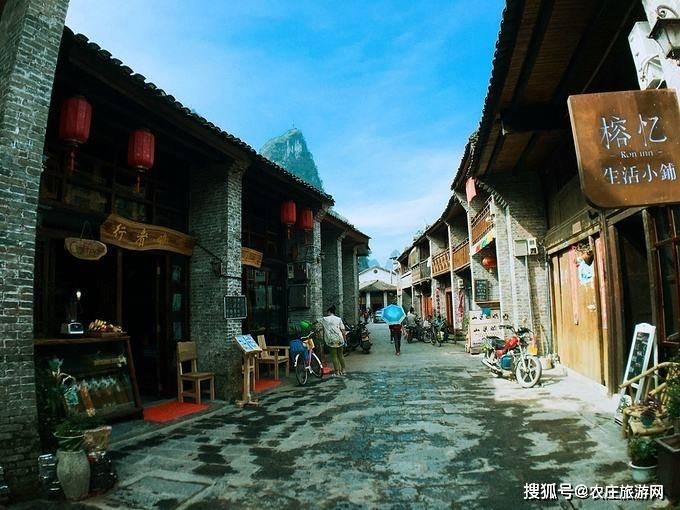 请问大神，这是什么植物？多谢啦游戏画面